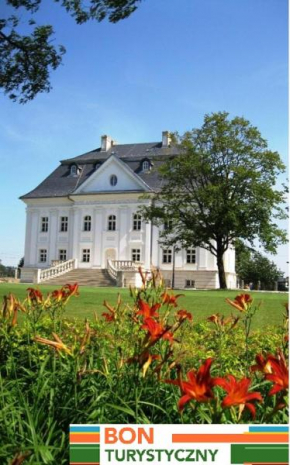 Hotel Pałac Borynia